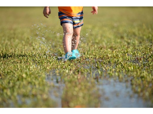 Wiosenny poradnik spacerowy