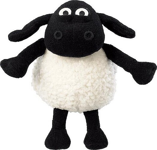 Co zabrać ze sobą na górskie wędrówki? - zdjęcie w treści artykułu