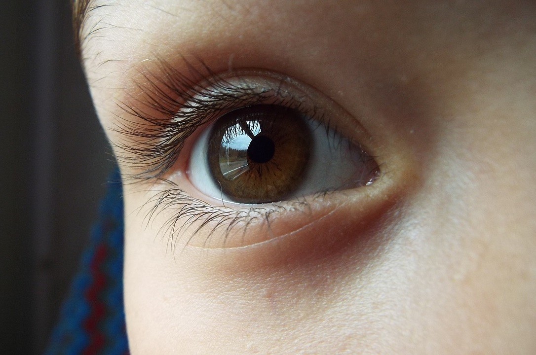 Jak widzi małe dziecko?