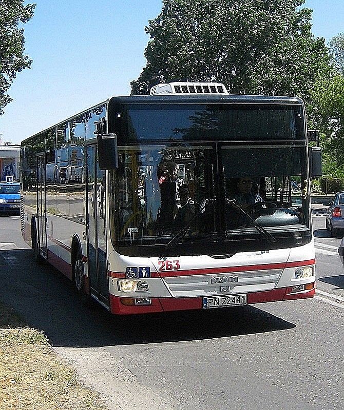 Pasja poskładana z klocków - zdjęcie w treści artykułu nr 9