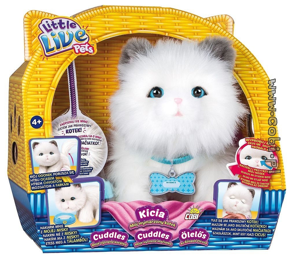 Tuluś i Kicia - moi wymarzeni przyjaciele - zdjęcie w treści artykułu