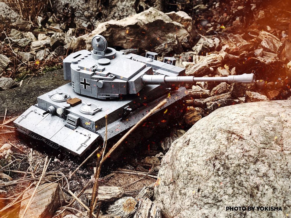 Tiger 1 i jego nowe siedlisko!