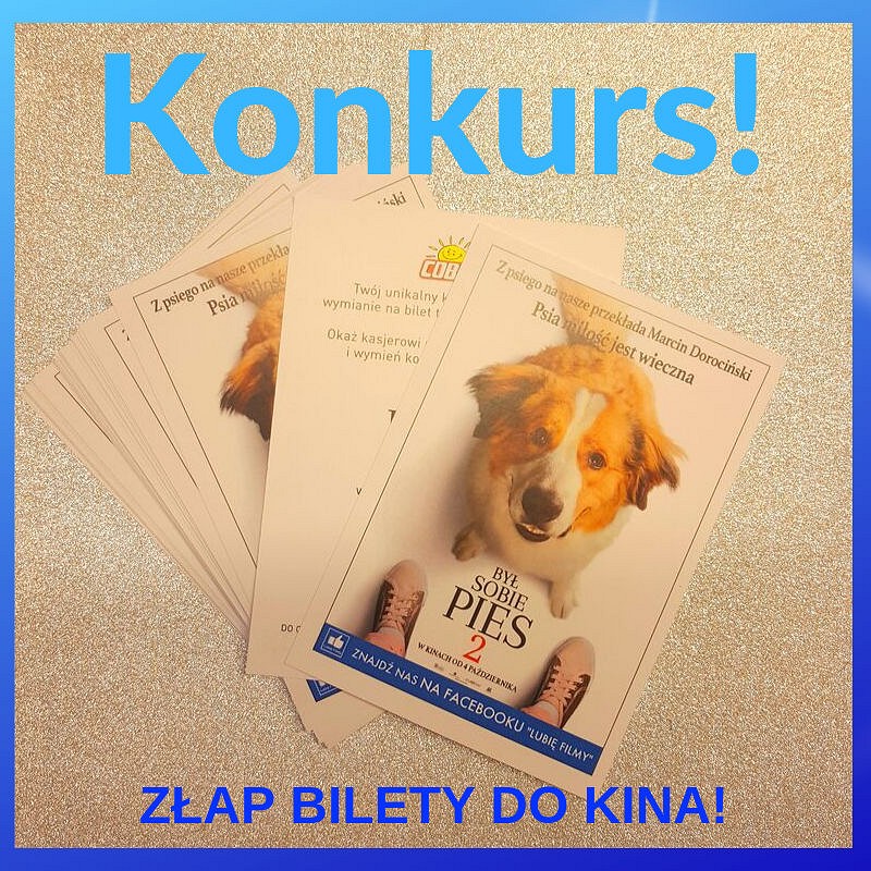Konkurs 
