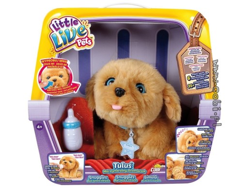 Tuluś i Kicia - moi wymarzeni przyjaciele