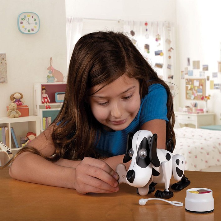 Piesek Kooky Kritters Bailey - fot. 7