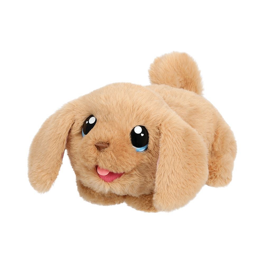 LLp Piesek z domkiem - fot. 9