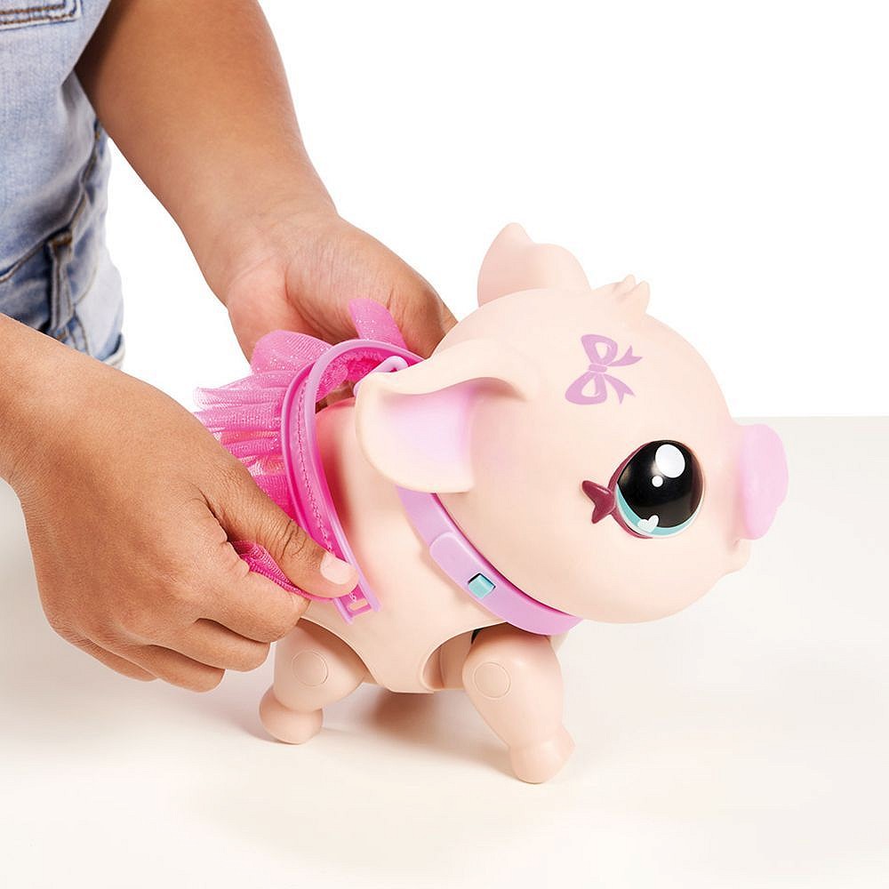 LLP Moja świnka Baletnica - fot. 7