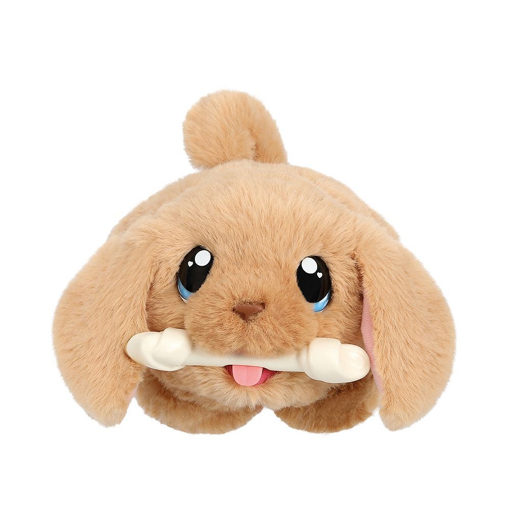 LLp Piesek z domkiem - fot. 10