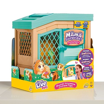 LLP Mama Surprise! Świnki morskie