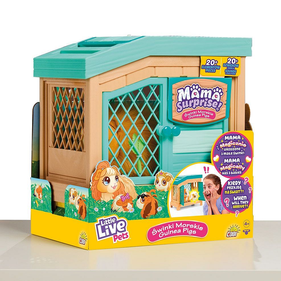 LLP Mama Surprise! Świnki morskie