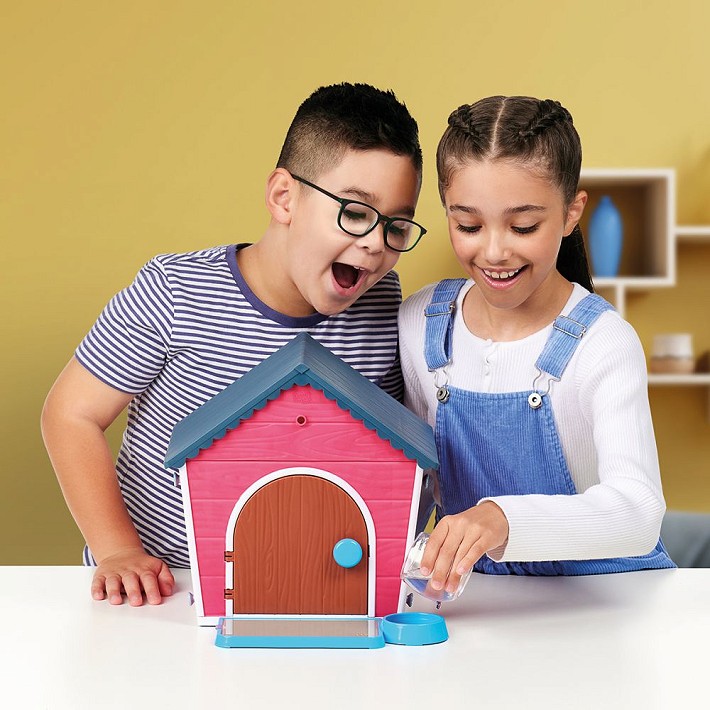 LLP Piesek Dalmatyńczyk z domkiem - fot. 17