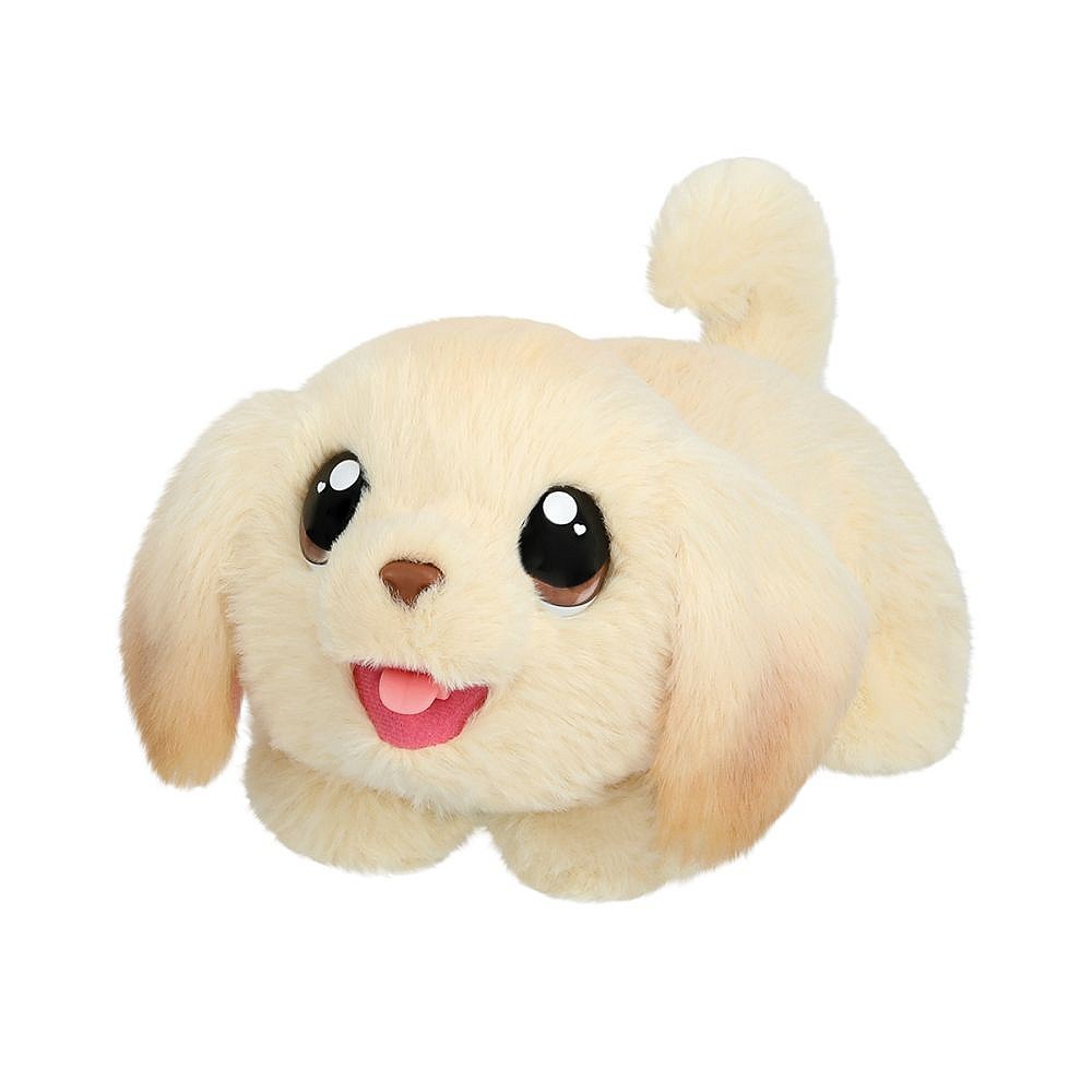 LLp Piesek z domkiem - fot. 11