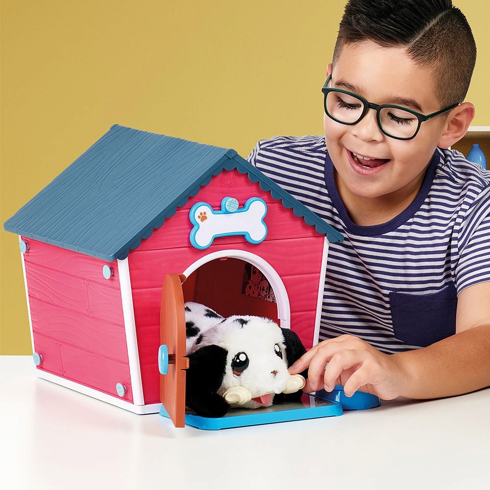 LLP Piesek Dalmatyńczyk z domkiem - fot. 21