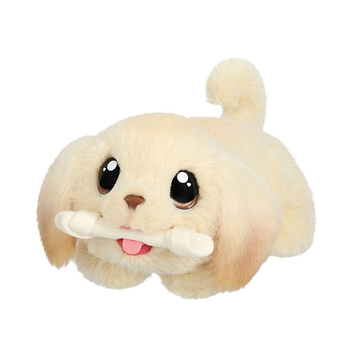 LLp Piesek z domkiem - fot. 12