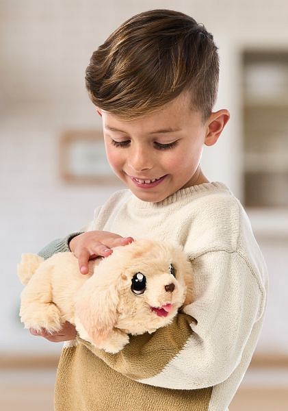 26477_LLP_MY_PUPPYS_HOME_LIFESTYLE_09.jpg [41.11 KB]