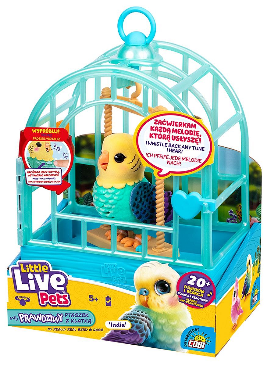 LLP Mój prawdziwy ptaszek