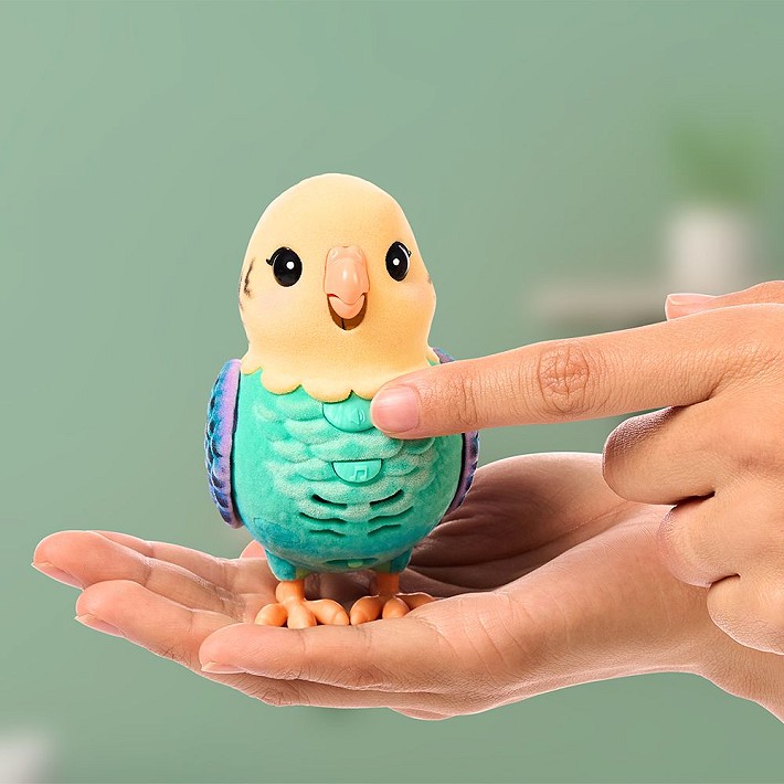 LLP Mój prawdziwy ptaszek - fot. 8