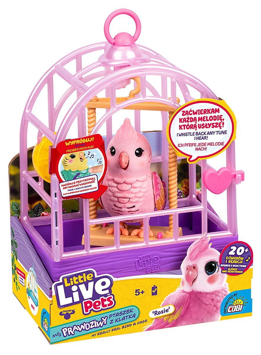 LLP Mój prawdziwy ptaszek - fot. 16