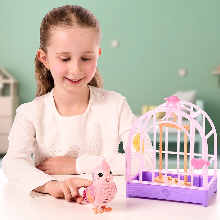 LLP Mój prawdziwy ptaszek - fot. 26