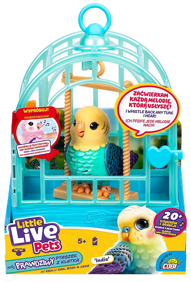 LLP Mój prawdziwy ptaszek - uszkodzone opakowanie