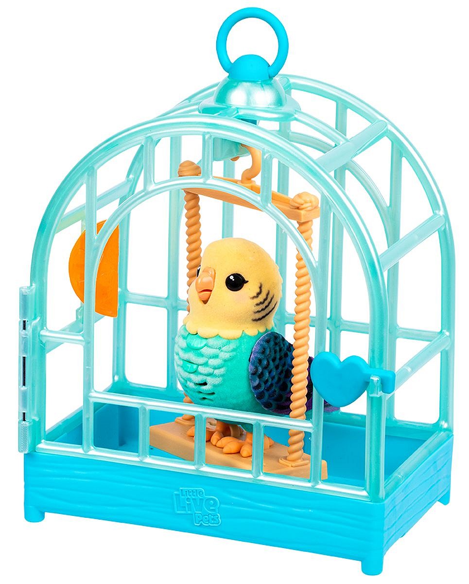 LLP Mój prawdziwy ptaszek - fot. 3