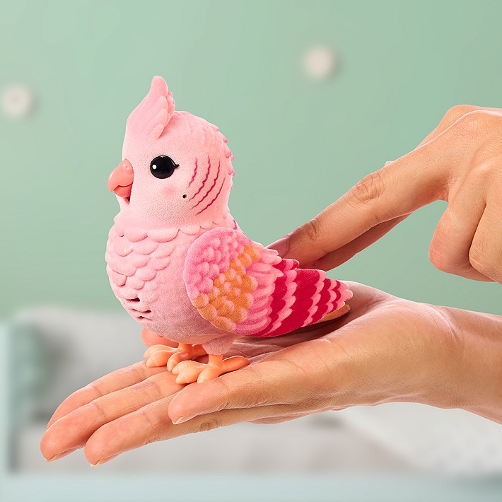 LLP Mój prawdziwy ptaszek - fot. 22