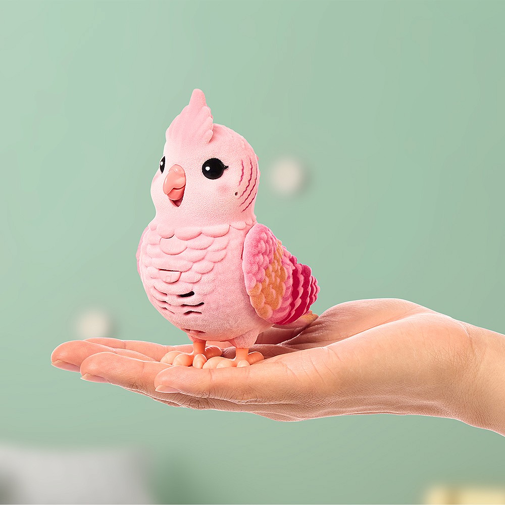 LLP Mój prawdziwy ptaszek - fot. 19