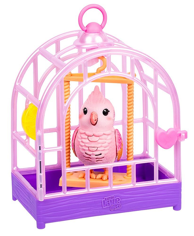 LLP Mój prawdziwy ptaszek - fot. 14