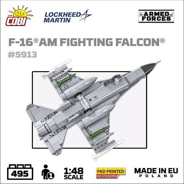 5913g.jpg [49.30 KB]