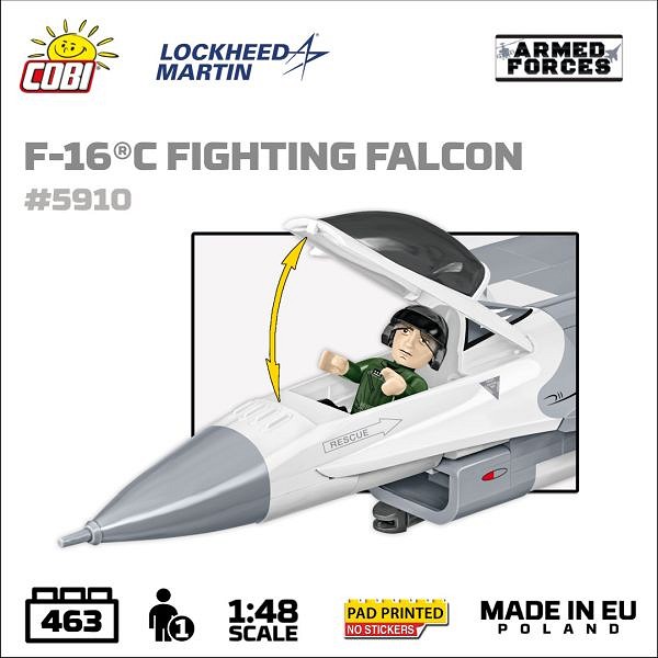 5910f.jpg [44.37 KB]