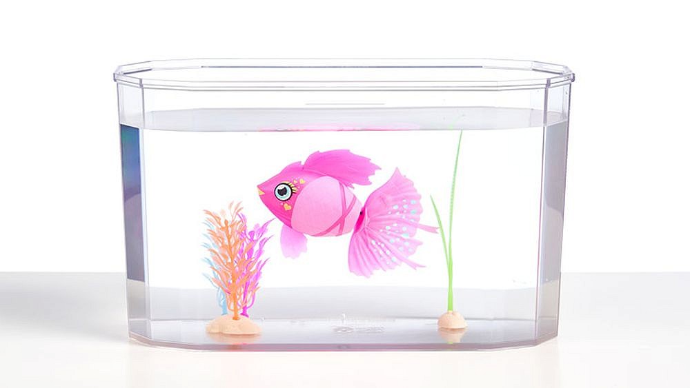 Akwarium i pływająca rybka - uszkodzone opakowanie - fot. 3